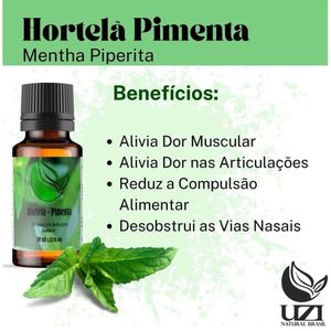 Óleo Essencial Hortelã Com Pimenta Alivia Tensão 10 Ml