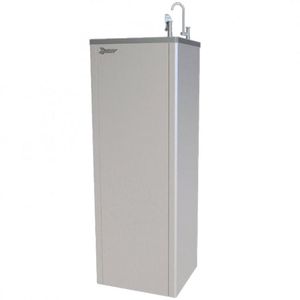 Bebedouro Purificador 220v Top 40 Top Life Prata