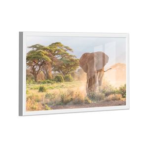 Quadro Elefante Savana -- Br Artes
