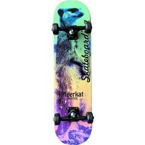 Skate Completo Montado Street Intermediário Meerkat Alert (truck De Aluminio)