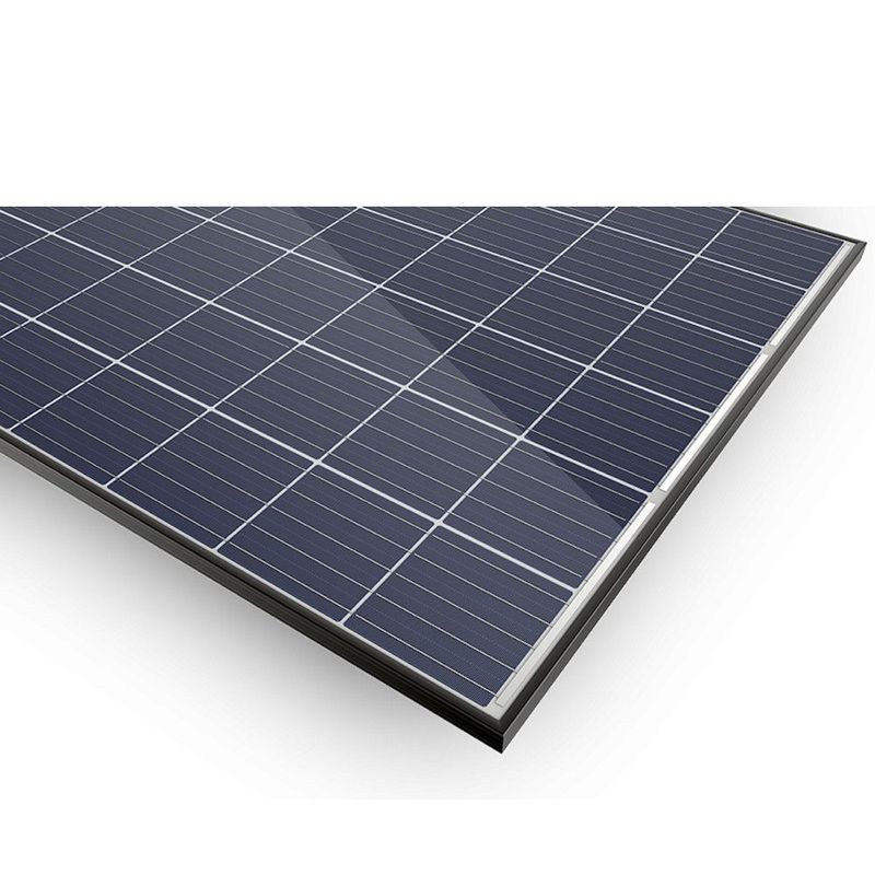 MF0031360030010101-2