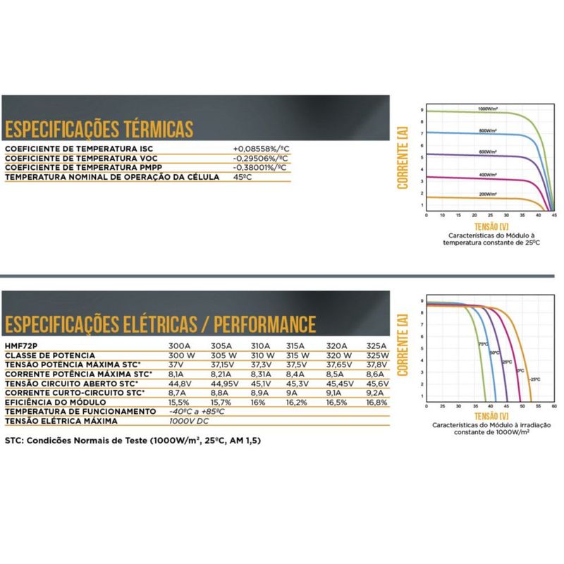 MF0031360030010101-6