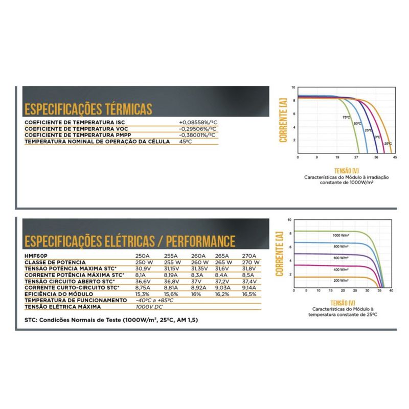 MF0021360020010101-7