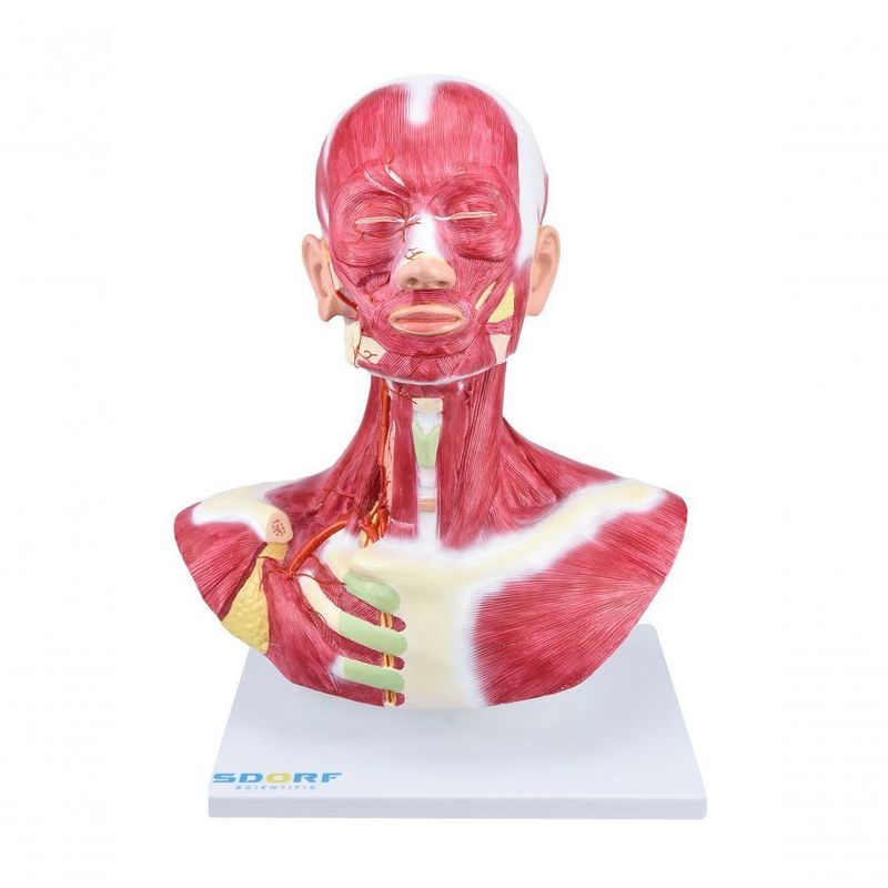 MKP001043000095-1