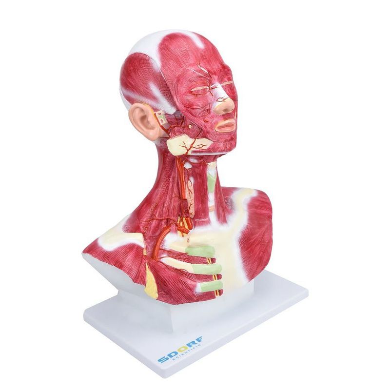 MKP001043000095-2