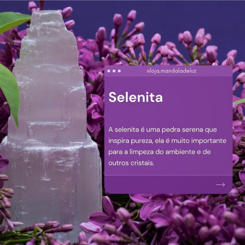 MKP002071000708-2