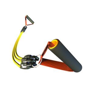 Programa Expander Light - Cepall