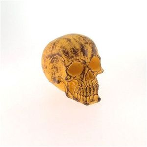 Decoração Caveira Resina De Varias Cores - Enfeite Produto Amarelo