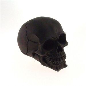 Decoração Caveira Resina De Varias Cores - Enfeite Produto Preto
