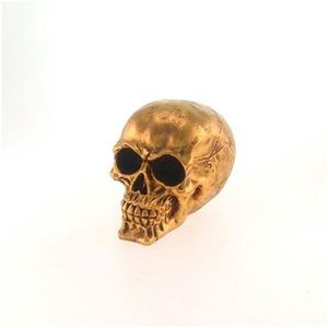 Decoração Caveira Resina De Varias Cores - Enfeite Produto Dourado