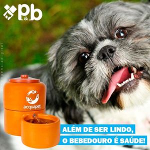 Bebedouro Acquapet Cerâmica 4 L C/bomba Bivolt P&b Cabo Inox