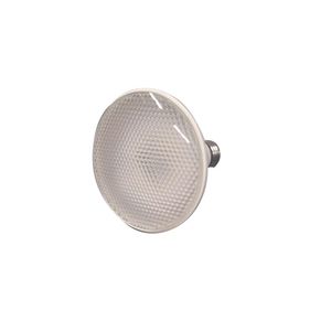 Lampada Led Par 30 11W 6500K E27 Bivolt