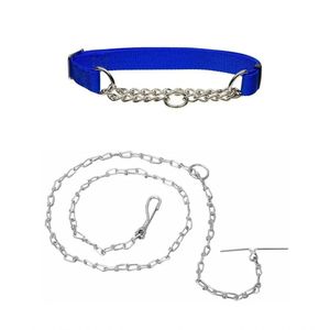 Kit Coleira Corrente Metal Cachorro Adestramento Pet Caes Guia Semi Enforcador Passeio