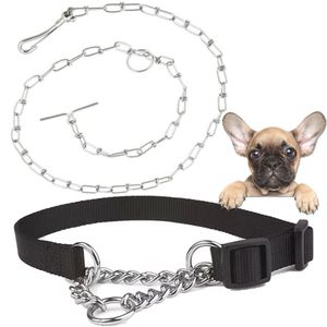 Coleira Guia Corrente Cachorro Cao Pet Kit Passeio Corrente Aço Zincado Semi Enforcadora