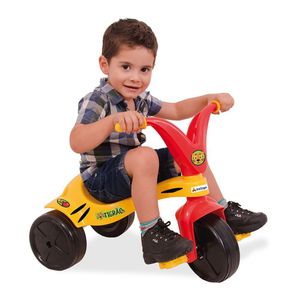 Triciclo Infantil Tigrão