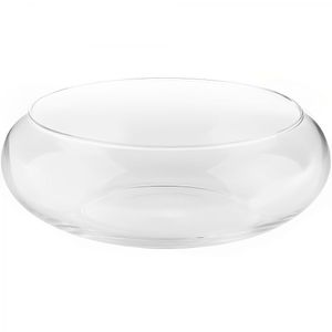 Vaso Terrario De Vidro Gigante Para Suculentas 19X29X33Cm