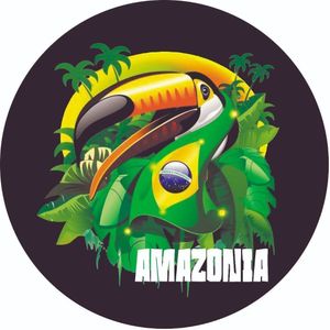 Capa De Estepe Ecosport Amazônia