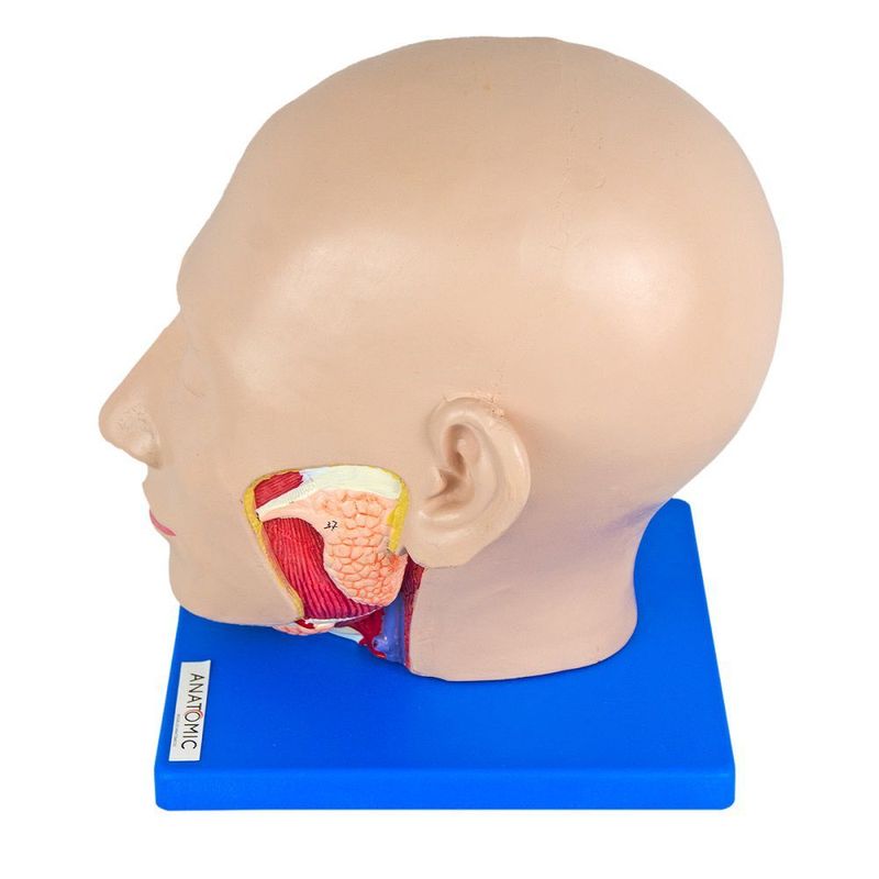 MKP001043000098-2