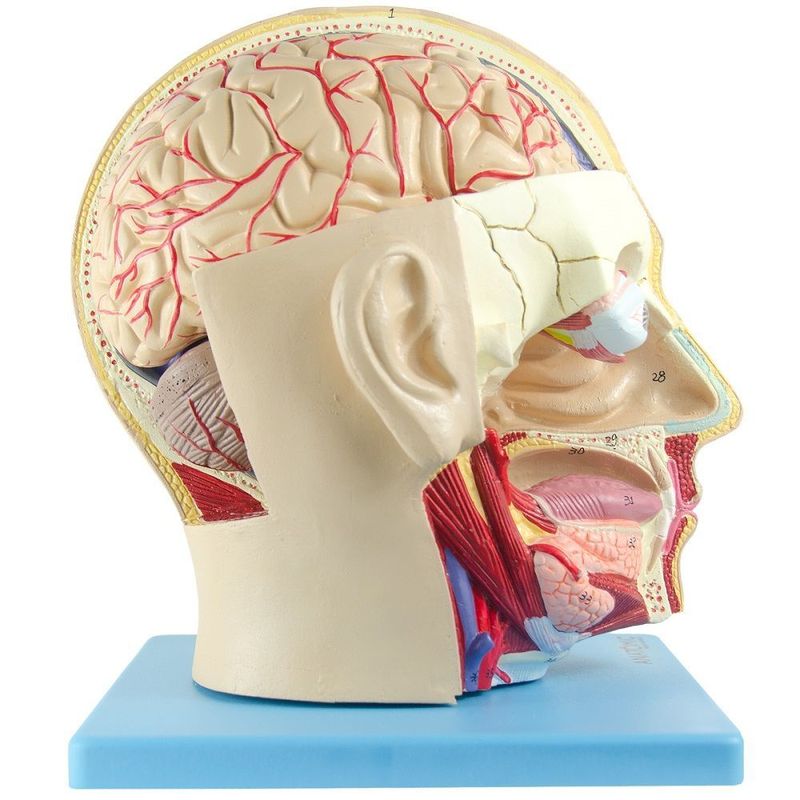 MKP001043000098-3