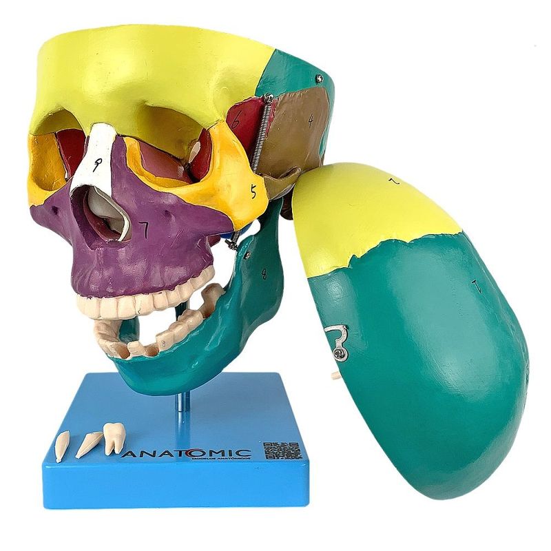 MKP001043000777-1