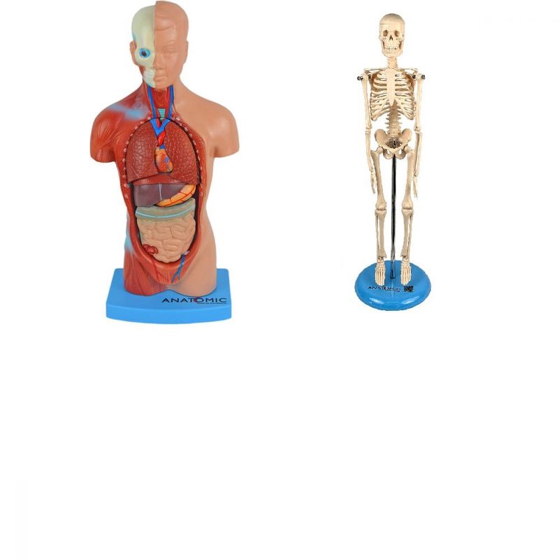 MKP001043000819-1