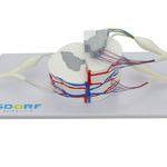 MKP001043000873-2