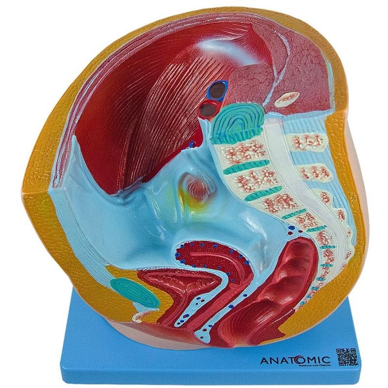 MKP001043000878-1