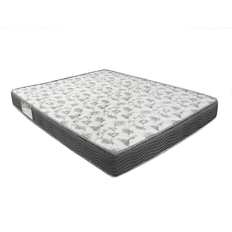 MKP002738000279-6