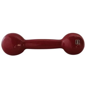 Halteres Ferro Fundido Emborrachado Crossfit Academia 3,0Kg