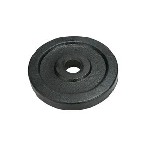 Anilha Ferro Fundido Pintada Fitness Academia 1/2Kg
