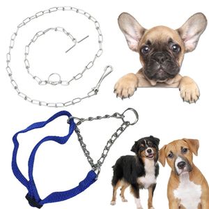 Coleira Cao Cachorro Ajustavel Semi Enforcadora Aço Zincado