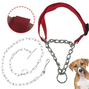 Coleira Guia Cao Cachorro Semi Enforcadora Aço Zincado