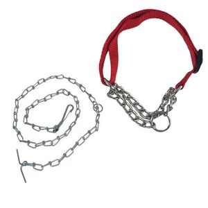 Coleira Semi Enforcadora Ajustavel Kit Guia Aço Cachorro Cão