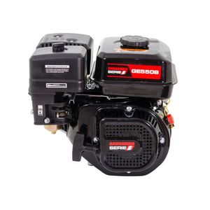 Motor Estacionário Potente Ge550b à Gasolina 4t 5,5hp 163cc