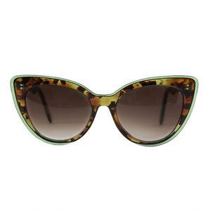 Óculos Solar Modelo Ipanema Verde Com Tartaruga