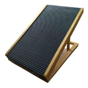 Rampa Auxiliar Para Pets