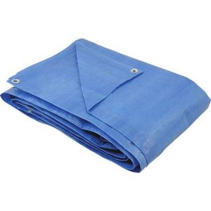 Lona de Polietileno Azul 3 m X 3 m Nove54 Azul