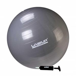 Bola Suiça Premium 85 Cm Cinza Liveup