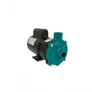 Motobomba Standard 1/3Cv 60Hz 110/220V Ecs-33Mp Eletroplas