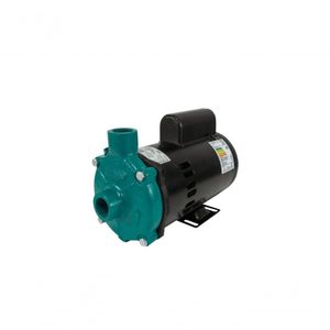 Motobomba Standard 1Cv 60Hz 110/220V Ecs-100Mp Eletroplas