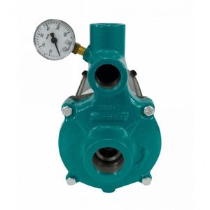 Motobomba Injetora 3Cv 60Hz 110/220V I-209 Eci-300M