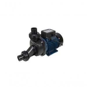 Motobomba Para Hidromassagem 1Cv 110V 60Hz Ech-100I