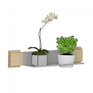 Jardim Vertical 2 Mini Prateleiras 1 Cachepot Green Be Mobiliário Natural