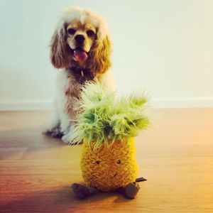 Meu Bff Brinquedo De Pelúcia Para Cães abacaxi