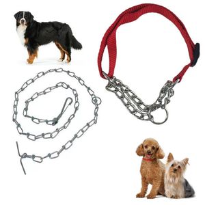 Coleira Ajustavel Semi Enforcadora Kit Guia Corrente Pet