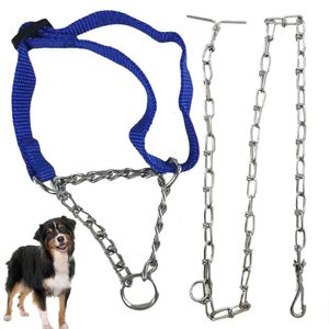 Coleira Cachorro Semi Enforcadora Corrente Aço Zincado Kit