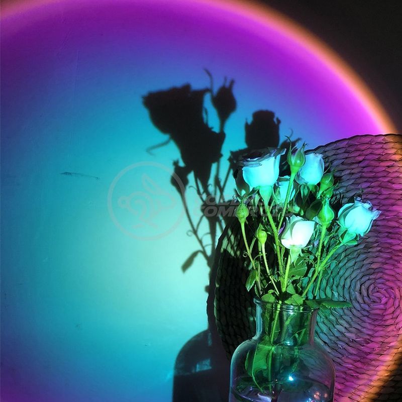 MKP003879012179-10