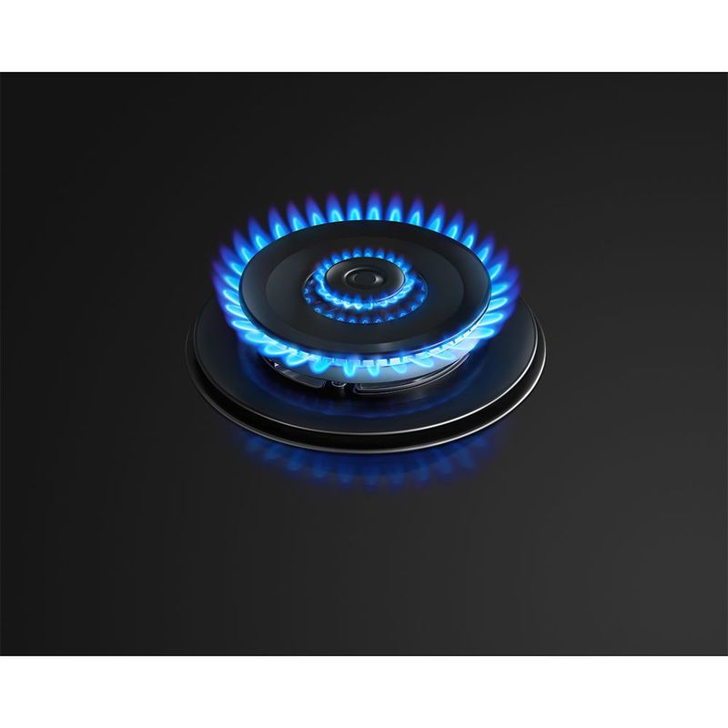 B81020122020330081-4