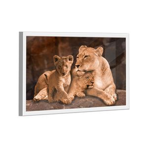 Quadro Leoa E 2 Filhotes -- Br Artes
