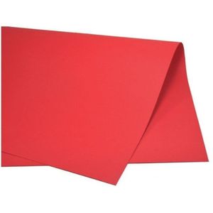 Papel Dupla Face 48x66 Vermelho C/20